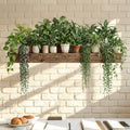 Green Plant Decor Courtyard Wall Decals Green Dill Leaves Hanging Basket Wall Stickers Bedroom Living Room Wall Beautification